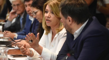 Mónica Litza celebró la media sanción al Monotributo Tecnológico