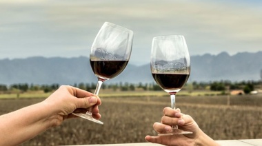 Promulgaron la ley del vino de la Provincia de Buenos Aires