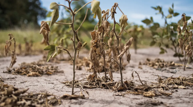 El campo reclama medidas urgentes para paliar la crisis de la sequía