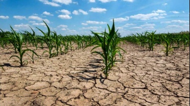 Productores afectados por sequía podrán acceder a beneficios del Gobierno Bonaerense