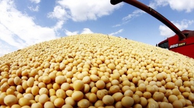 Las exportaciones de soja sufren una caída de US$ 7.300 millones por efecto de la sequía