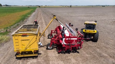 La soja de primera, estaría ganando terreno al maíz tardío, ante la falta de agua en los perfiles.
