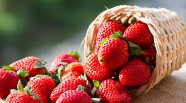 Los precios de los agroalimentos se multiplicaron por 3,7 veces en septiembre