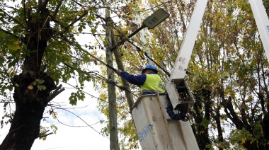 Nuevo operativos de poda y corte de ramas de árboles en Brown