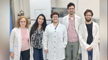 Especialistas del CONICET identifican un fármaco que podría prevenir los síntomas cardíacos de la enfermedad de Chagas