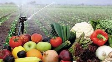 Del campo a la góndola, los precios de los agroalimentos se multiplicaron por 3,3 veces en junio