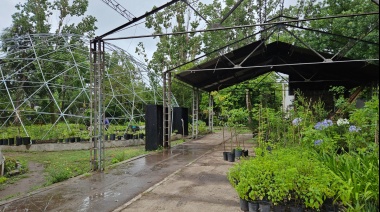 Conocé el Programa de Forestación Domiciliaria de Lanús Gobierno