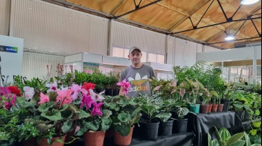 Expo viveros en Avellaneda: Un oasis verde para los amantes de las plantas