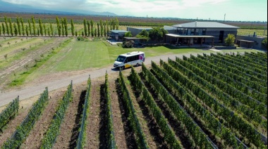 Quien dijo que visitar las bodegas era caro