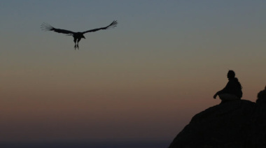 El llamado del cóndor: una travesía espiritual entre Sudamérica y Australia que puede cambiarte la vida