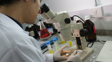 Ciencia y tecnología: la Provincia impulsa redes federales de investigación con universidades