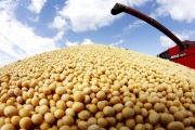 Las exportaciones de soja sufren una caída de US$ 7.300 millones por efecto de la sequía