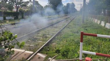 Un piquete en las vías de la estación Sarandí causó trastornos en el Roca