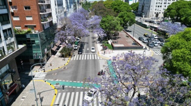 Ciudad violeta: comenzaron a florecer los jacarandás en las calles y los parques porteños