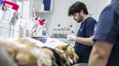En diciembre Zoonosis Brown continúa extendiendo los operativos descentralizados de castración