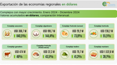 En 2024, las exportaciones de las economías regionales crecieron 23,8% en dólares y 25,7% en toneladas