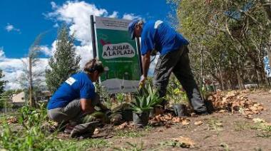 Reforestaron la Plaza Ángel Nené Coppola