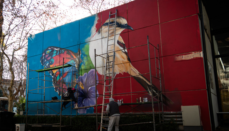 INTENSITY ART II llevó murales al Instituto Roffo  para acompañar y humanizar la salud pública