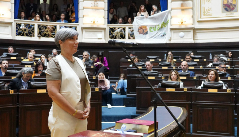 Los diputados electos por Fuerza Patria prestaron juramento en la Cámara de Diputados de la Provincia de Buenos Aires.