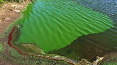 Varias lagunas bonaerenses en alerta rojo por cianobacterias, solicitan no consumir pescados