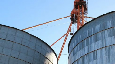 La AFIP detecta más de 850 toneladas de granos en un centro de acopio irregular