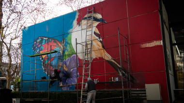 INTENSITY ART II llevó murales al Instituto Roffo  para acompañar y humanizar la salud pública