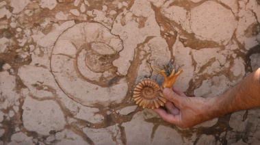Se abre la convocatoria para participar en la Semana de Arqueología y Paleontología