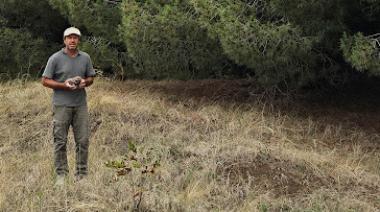 De Claromecó al mundo