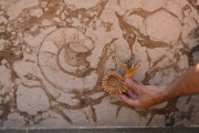 Se abre la convocatoria para participar en la Semana de Arqueología y Paleontología