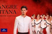 El espectáculo de flamenco y fusión de altísima calidad llega el 4 de febrero al Teatro Picadilly
