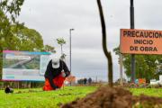 AUBASA inició la plantación de especies nativas en la nueva bajada de City Bell